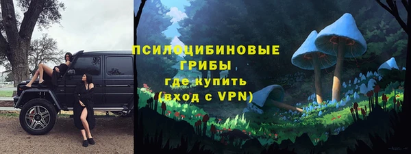 бутират Ельня