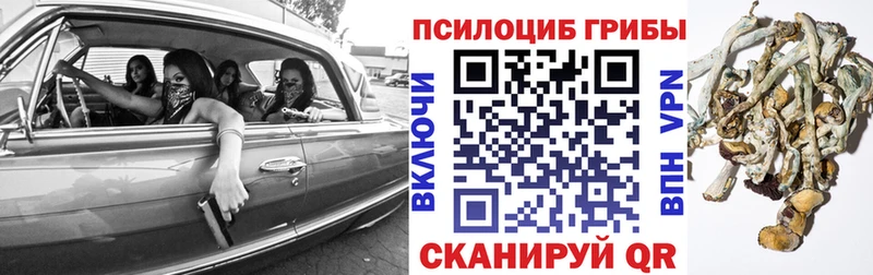 Галлюциногенные грибы Psilocybe  blacksprut   Ивантеевка 