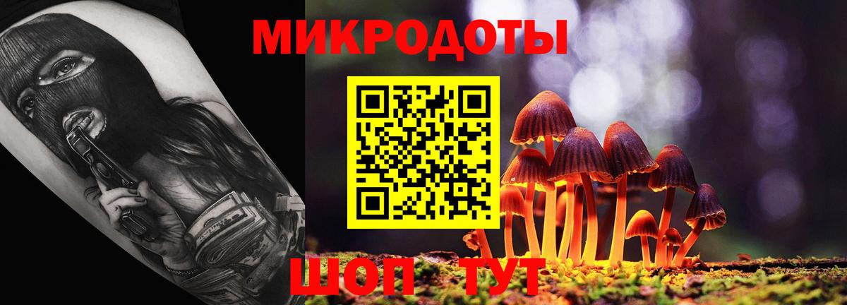 Галлюциногенные грибы Psilocybe  продажа наркотиков  Ивантеевка  Вход с VPN  Псилоцибиновые грибы Psilocybine cubensis 